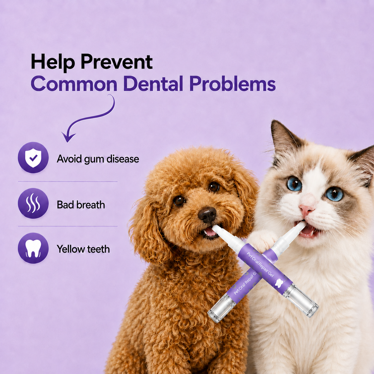 Help prevent common dental problems, dog and cat with gel pens